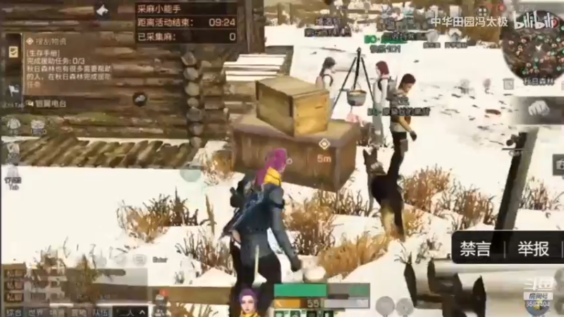 一天五庄22采集 视频攻略第四篇 升5庄