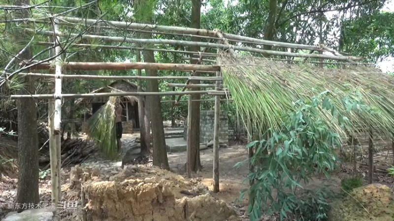 第二季S08P20新畜栏14荒野园林艺术家点个关注吧喜欢素质三连