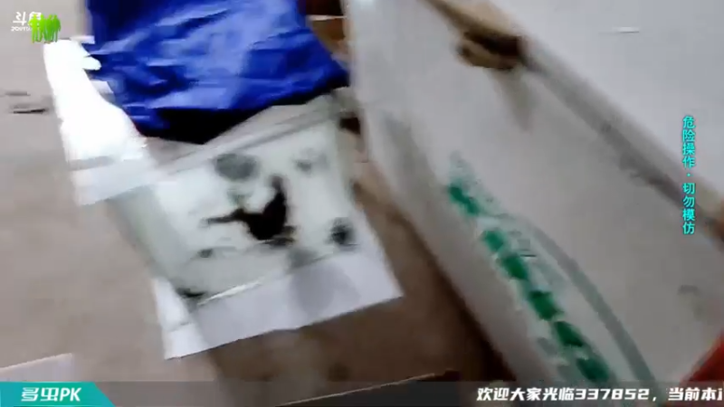 【2021-09-03 02点场】洪湖小肖：我永远是王雨檬的手下败将