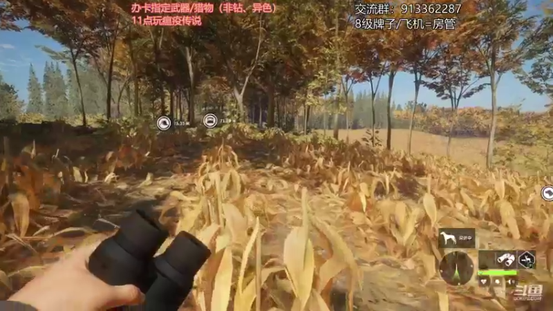 【2021-08-31 22点场】蓝色追风丶：猎！都可以猎！