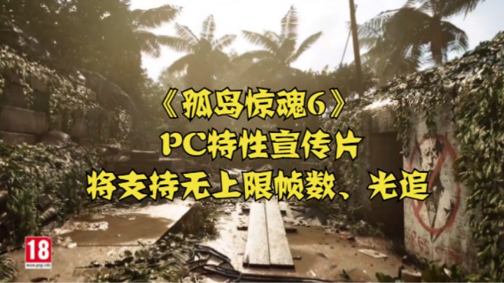 《孤岛惊魂6》PC特性宣传片 将支持无上限帧数、光追