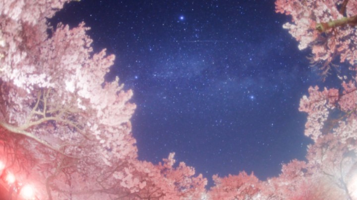 今天是尖叫夜