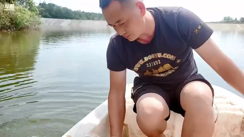 【2021-09-03 12点场】洪湖小肖：10:30上线，1个【666】卡粉丝牌