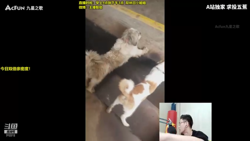 【2021-09-03 10点场】智勋勋勋勋：智勋：峡谷之巅修炼！