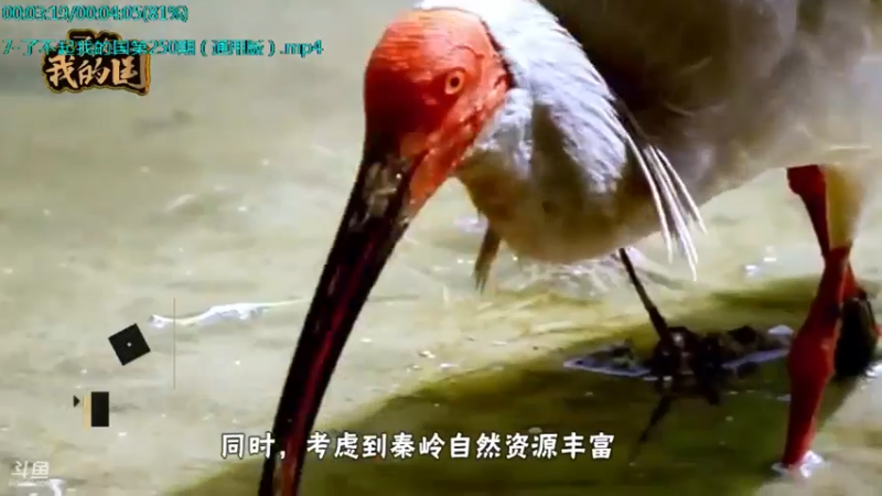 【2021-09-03 04点场】了不起我的国：解放军战力最强兵种： 炊事兵