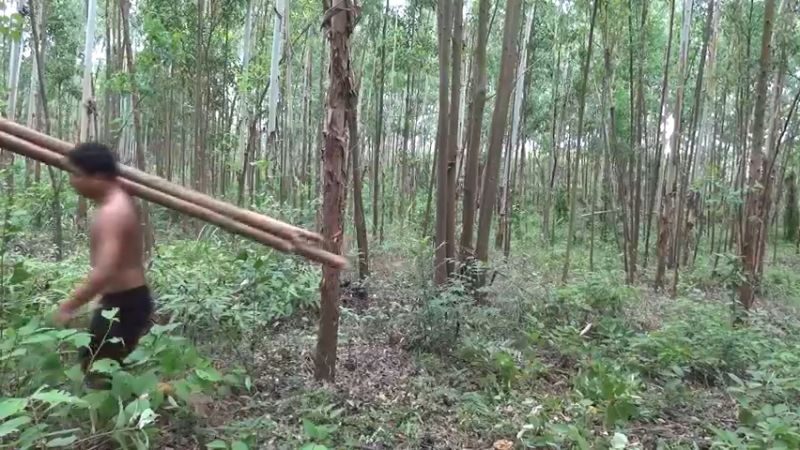 第二季S09P20新水桶2荒野园林艺术家点个关注吧喜欢素质三连