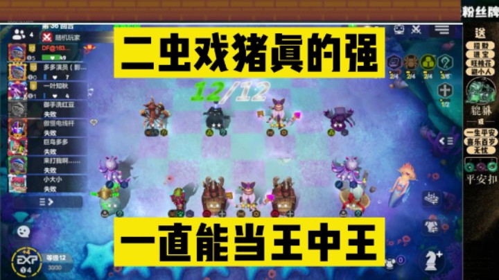 多多自走棋之让别人上头，二虫戏猪最大血入！