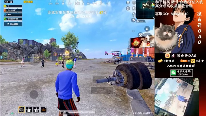 【凉白开OAO】12杀吃鸡，我还以为是被炸死的呢~~~