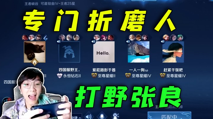 打野张良，专门折磨人~