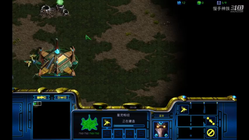 pvz单兵营开局乱玩的节奏2021-09-03