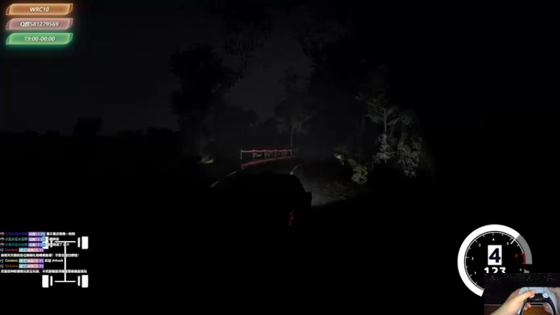 【2021-09-02 13点场】大黑单机：【WRC10】赛车新手在练 对马岛清杯
