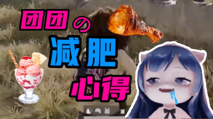 【一条小团团】团团减肥心得！劳逸结合才能成功！