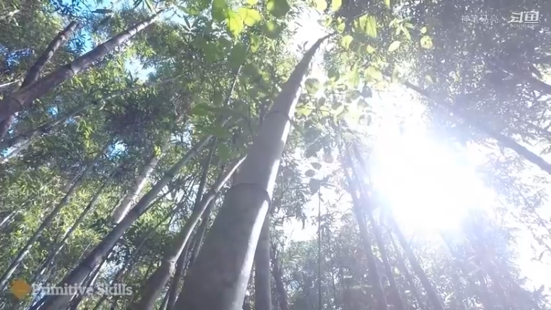 第1季梦开始的地方精剪P7小竹弓技能演示(1)(真人我的世界-空手发展-石器时代)