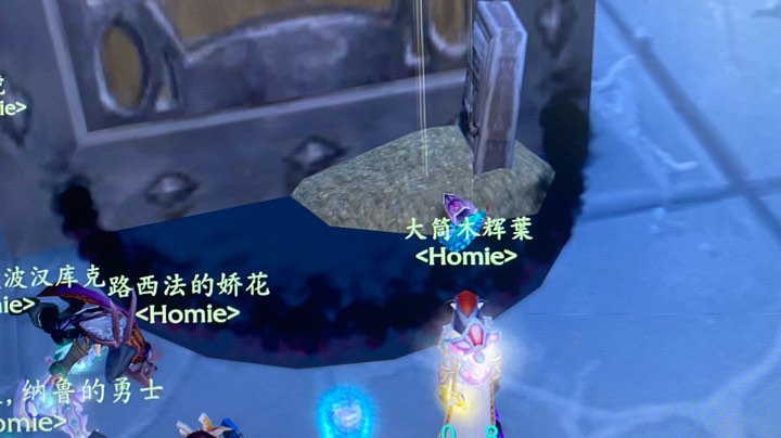 Ｈ会TBC格鲁尔玛瑟里顿连着开