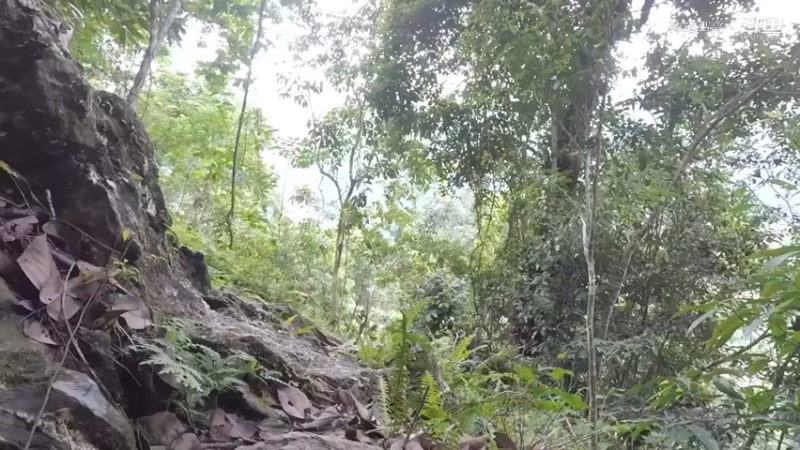 第1季梦开始的地方精剪P3捕蟹(1)(真人我的世界-空手发展-石器时代)