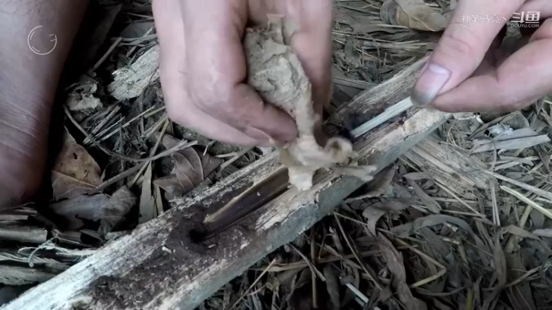 第1季梦开始的地方精剪P1火犁(9)(真人我的世界-空手发展-石器时代)