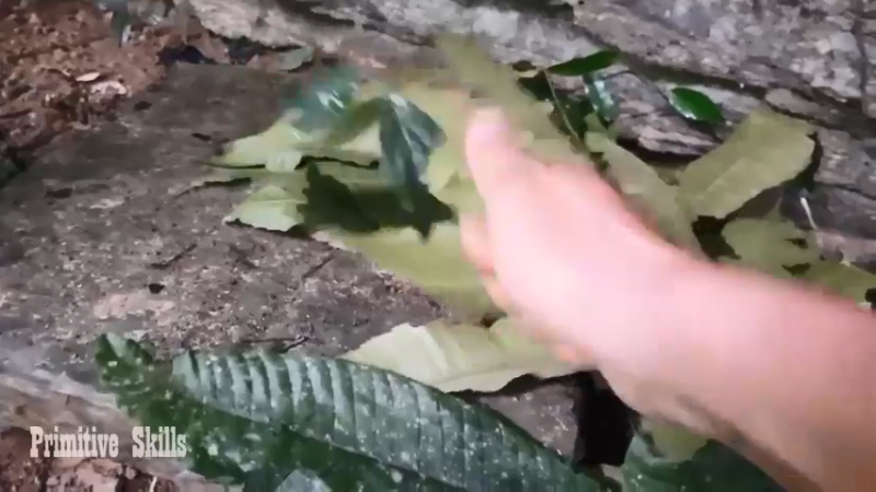 第1季梦开始的地方精剪P19陷阱捕鼠(8)(真人我的世界-空手发展-石器时代)