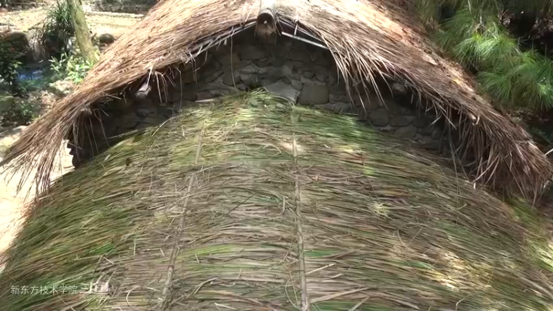 第二季S10P20打桩机，吃个饼9荒野园林艺术家点个关注吧喜欢素质三连