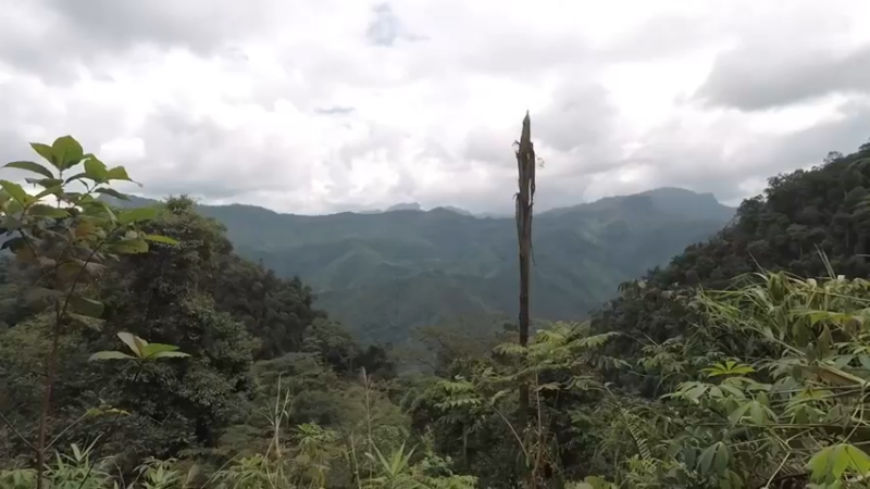 第1季梦开始的地方精剪P4传统方法编制草席(1)(真人我的世界-空手发展-石器时代)