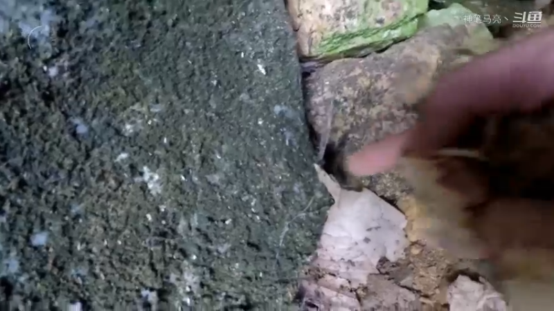 第1季梦开始的地方精剪P1火犁(3)(真人我的世界-空手发展-石器时代)