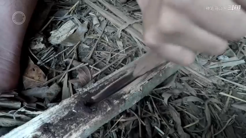 第1季梦开始的地方精剪P1火犁(8)(真人我的世界-空手发展-石器时代)