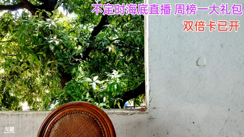 【2021-09-04 11点场】海道丶：发鱼了！ 发鱼啦！