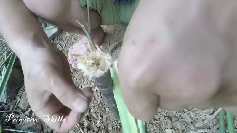 第1季梦开始的地方精剪P4传统方法编制草席(7)(真人我的世界-空手发展-石器时代)