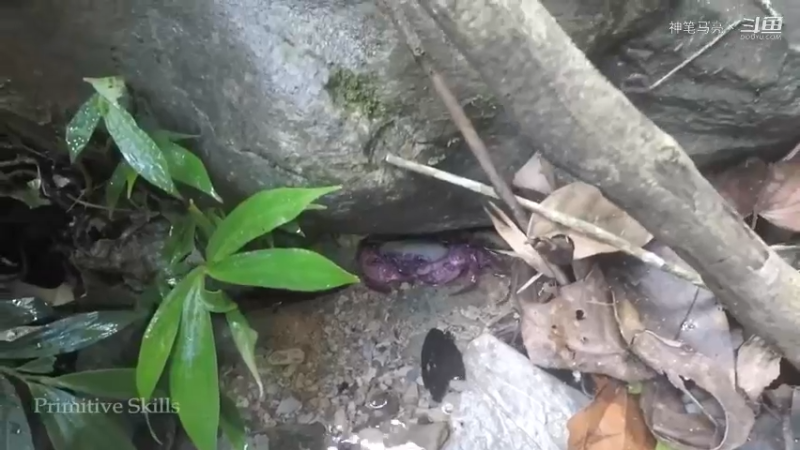 第1季梦开始的地方精剪P3捕蟹(3)(真人我的世界-空手发展-石器时代)
