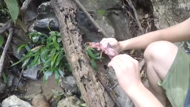 第1季梦开始的地方精剪P3捕蟹(4)(真人我的世界-空手发展-石器时代)