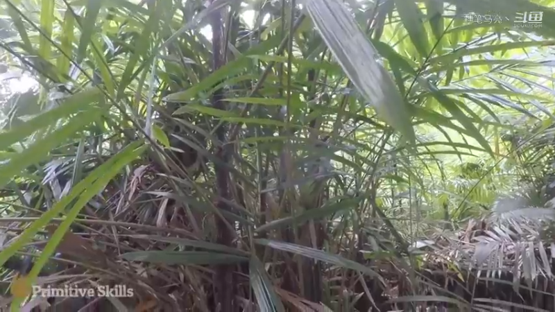 第1季梦开始的地方精剪P7小竹弓技能演示(5)(真人我的世界-空手发展-石器时代)