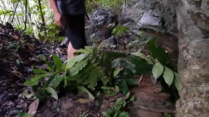 第1季梦开始的地方精剪P19陷阱捕鼠(7)(真人我的世界-空手发展-石器时代)