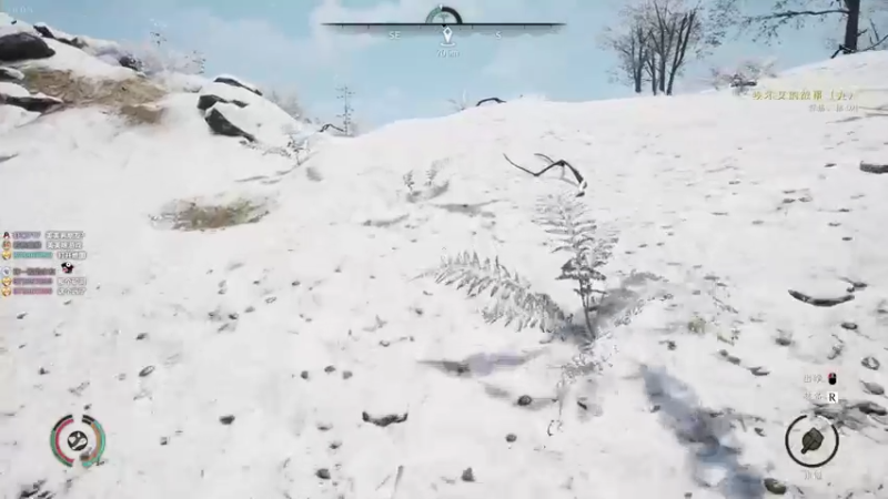 【2021-09-04 12点场】美美干嘛呢：❤美美❤猜猜我在玩什么