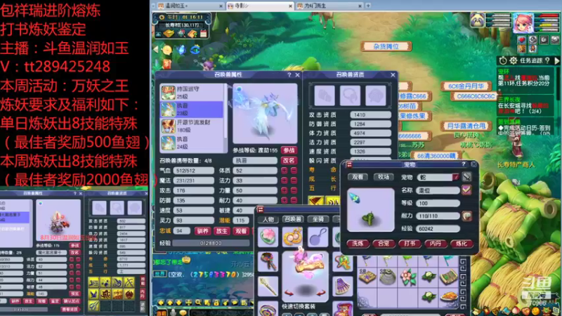 【2021-09-02 01点场】梦幻你波哥：打书炼妖进阶熔炼鉴定小能手在线了