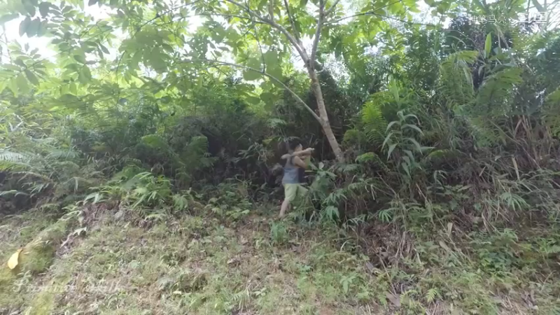 第1季梦开始的地方精剪P5草鞋(1)(真人我的世界-空手发展-石器时代)