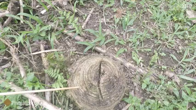 第1季梦开始的地方精剪P7小竹弓技能演示(10)(真人我的世界-空手发展-石器时代)