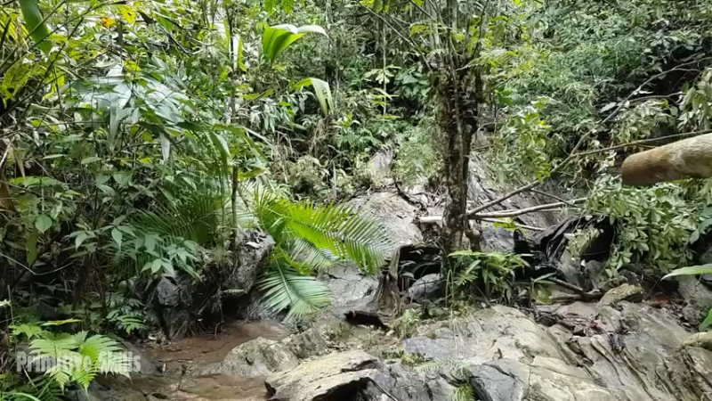 第1季梦开始的地方精剪P16石板厨房(1)(真人我的世界-空手发展-石器时代)