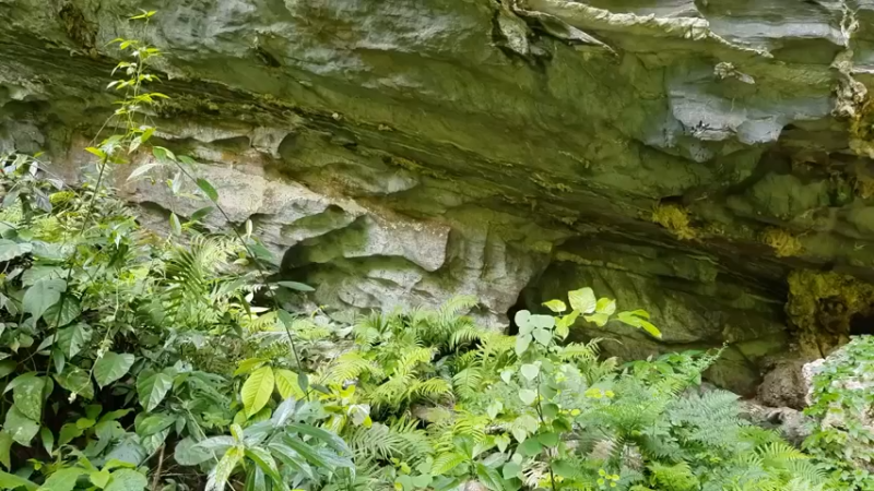 梦开始的地方精剪P20用祖传石板烹饪(1)(真人我的世界-空手发展-石器时代)