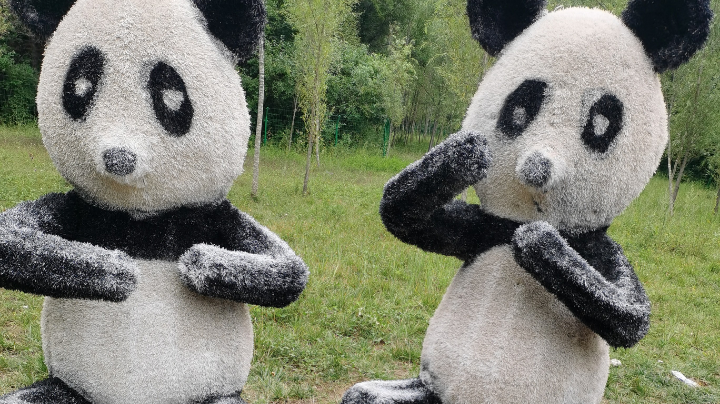 今天晚上不行啊