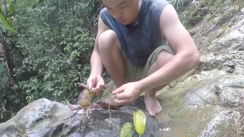 第1季梦开始的地方精剪P3捕蟹(5)(真人我的世界-空手发展-石器时代)