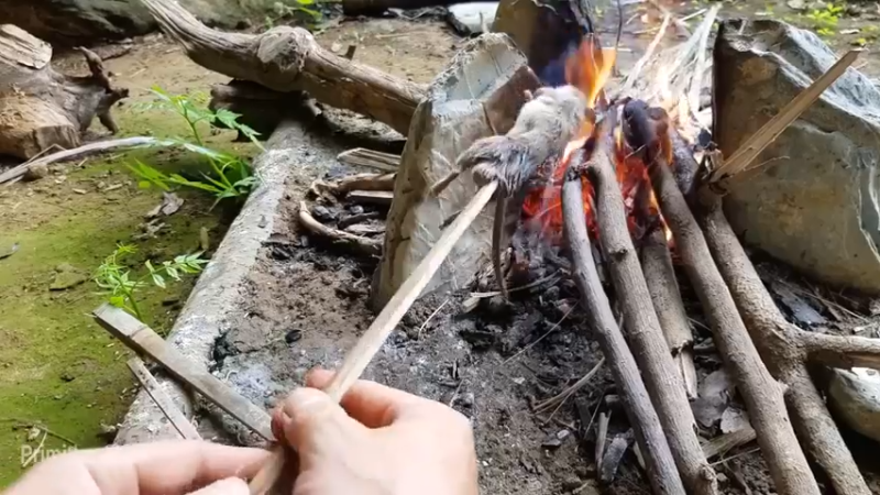 梦开始的地方精剪P20用祖传石板烹饪(3)(真人我的世界-空手发展-石器时代)