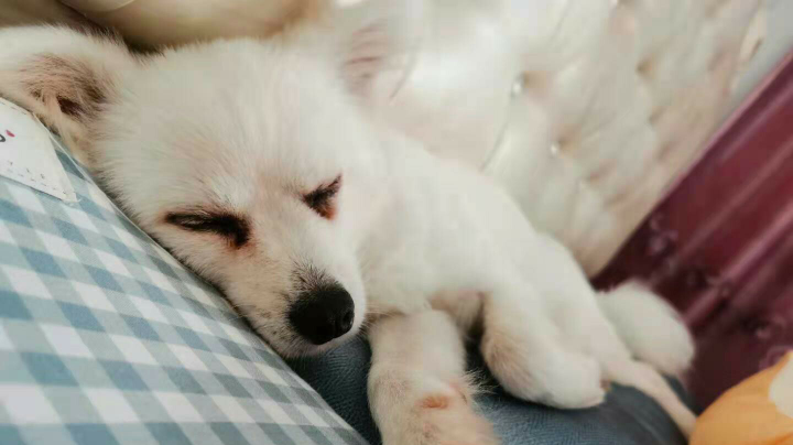 0901.20点