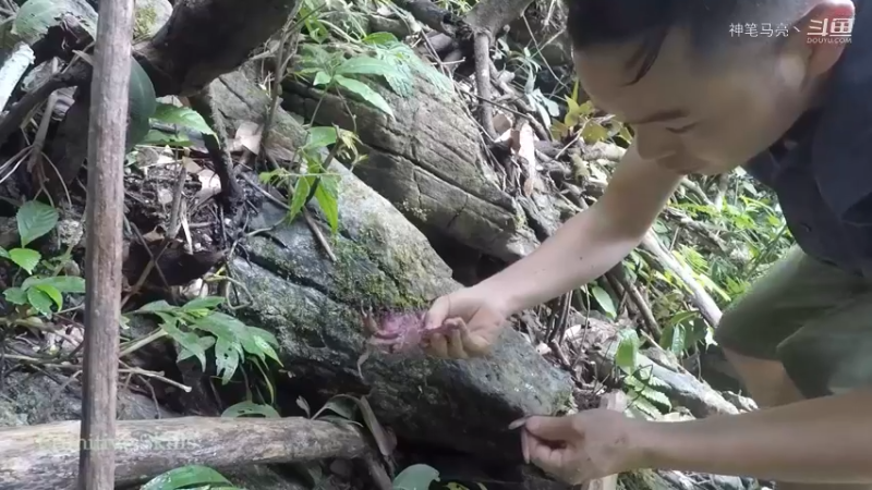 第1季梦开始的地方精剪P3捕蟹(6)(真人我的世界-空手发展-石器时代)