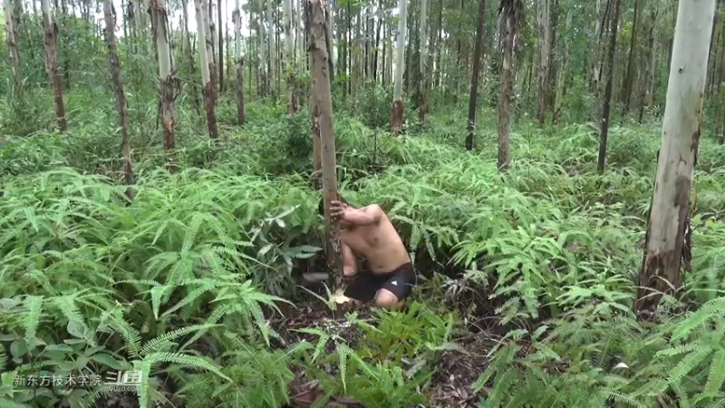 第二季S10P20打桩机，吃个饼3荒野园林艺术家点个关注吧喜欢素质三连
