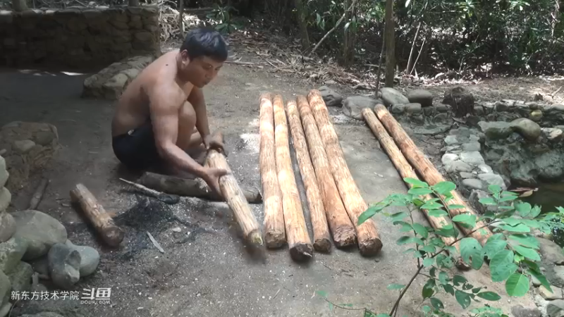 第二季S11P18邮箱？鸽子笼3荒野园林艺术家点个关注吧喜欢素质三连