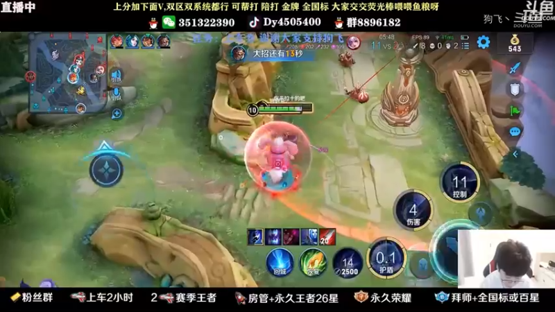 不是胖达荣荣的胖达荣荣
