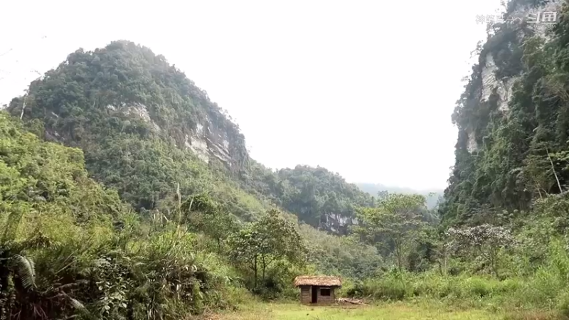 放下第一个基地：04(1)农耕织田【真人我的世界-空手发展-铁器时代】