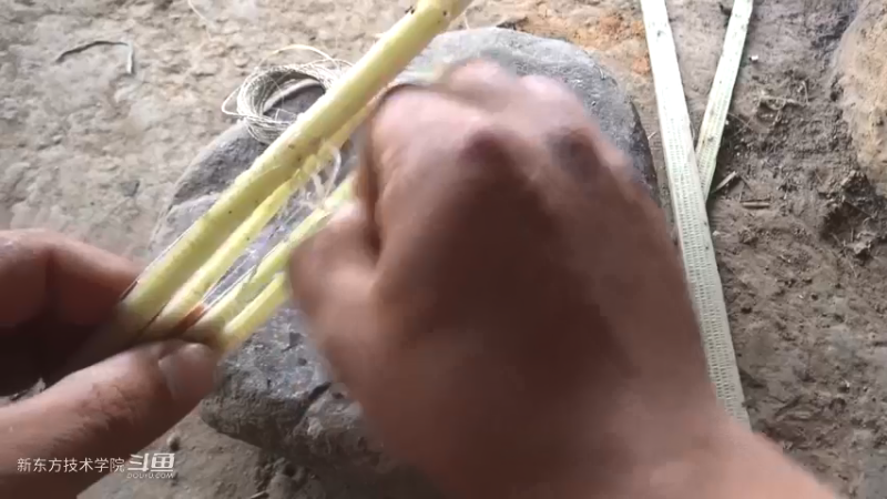 第二季S15P18鱼线现在渔具3荒野园林艺术家点个关注吧喜欢素质三连