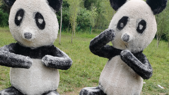 你怎么这么好看