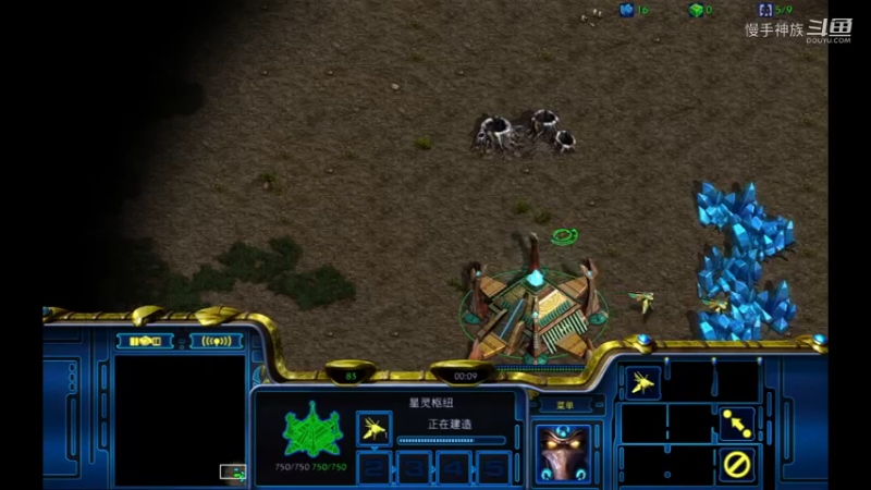 天梯pvz1攻提速拆2021-09-05