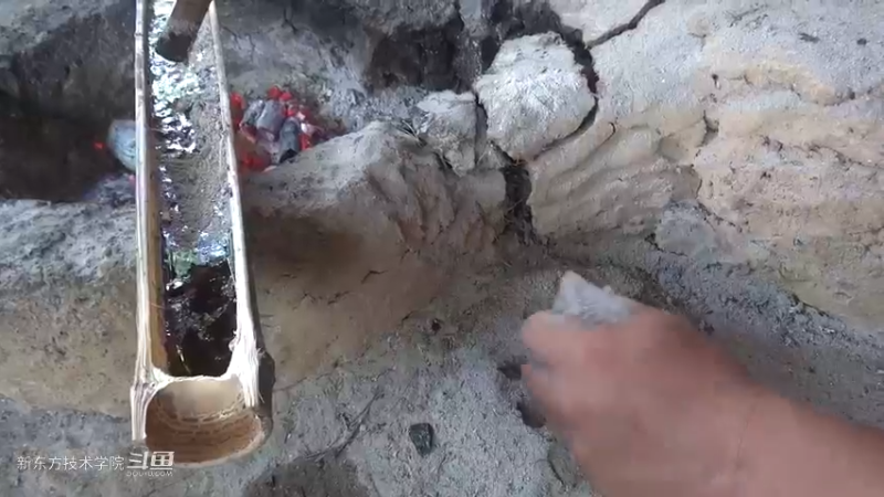第二季S11P18邮箱？鸽子笼16荒野园林艺术家点个关注吧喜欢素质三连